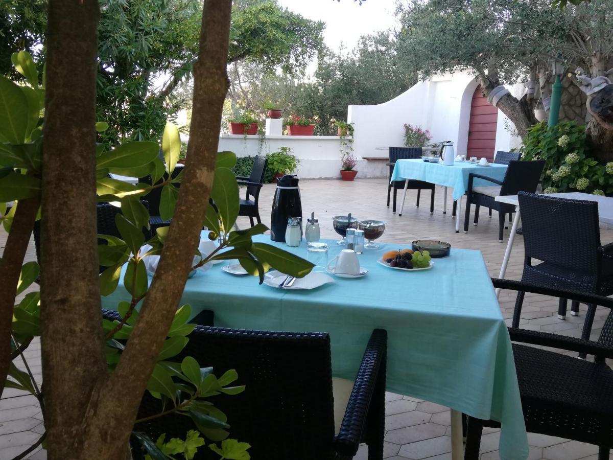 Riviera Rooms And Apartments Palit 외부 사진